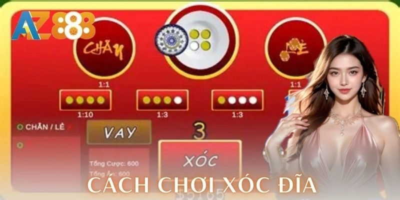 Kinh nghiệm cho người mới